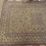 699 4001 ORIENTAL RUG